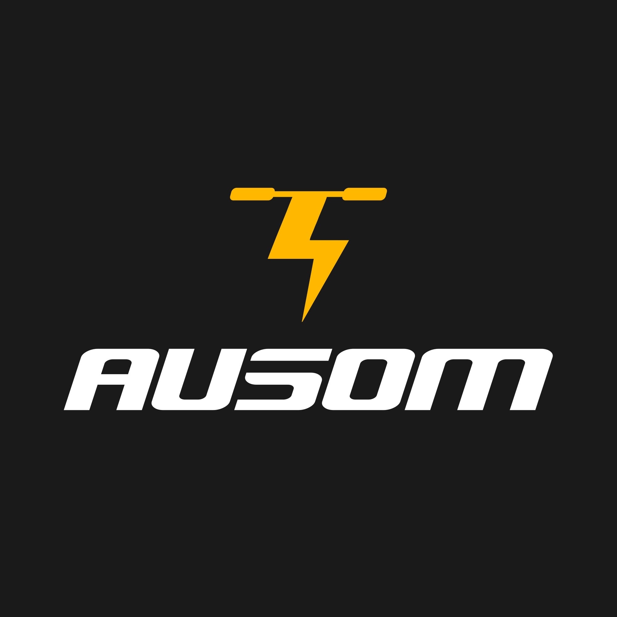 Ausom
