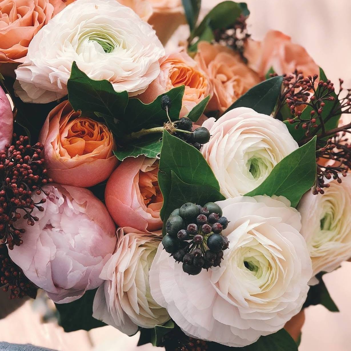 abcFlora